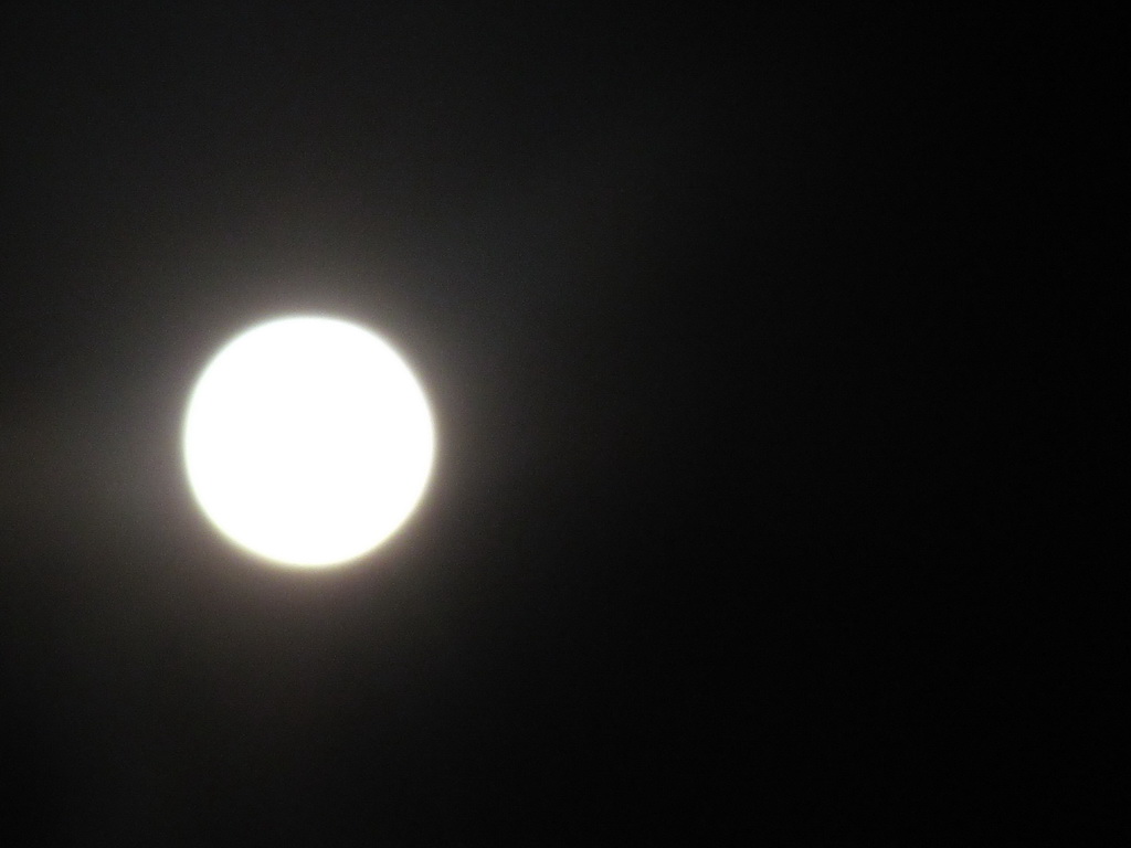 太阳 031.jpg