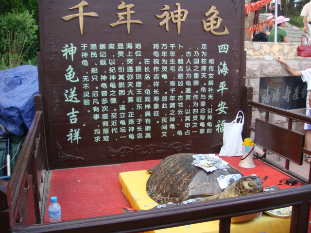 DSC04548.JPG