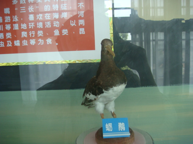 DSC04698.JPG