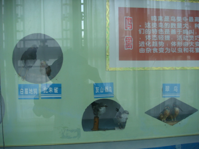 DSC04705.JPG