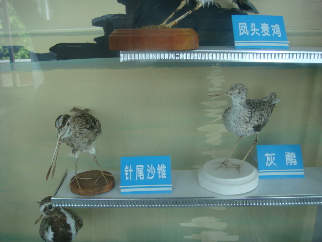 DSC04694.JPG