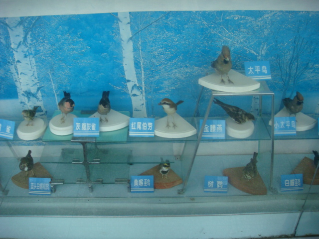 DSC04701.JPG