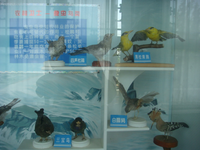 DSC04707.JPG