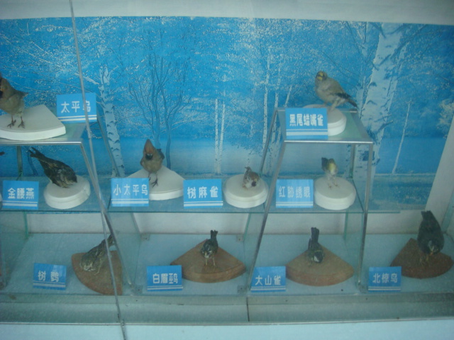 DSC04700.JPG