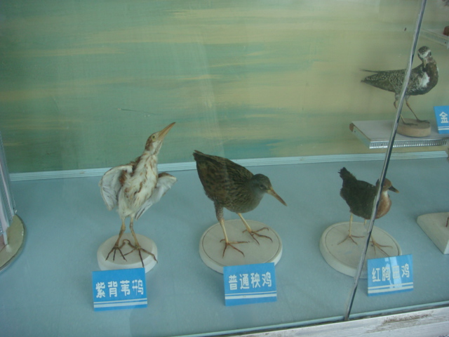 DSC04697.JPG