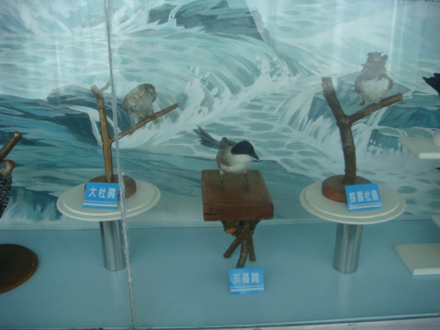 DSC04709.JPG
