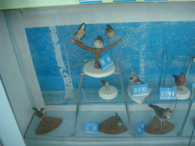 DSC04703.JPG