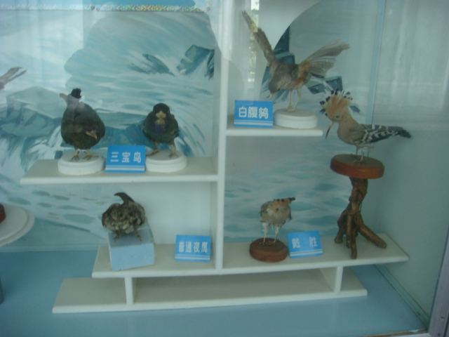 DSC04708.JPG