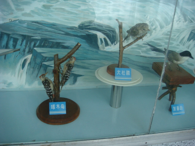 DSC04710.JPG