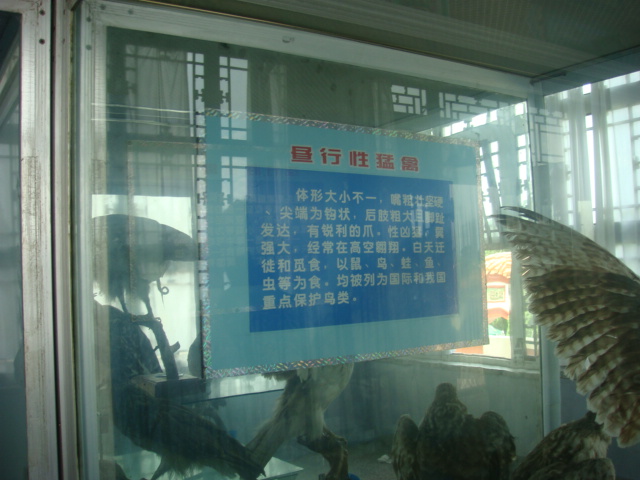 DSC04731.JPG