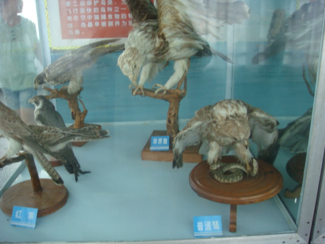 DSC04713.JPG