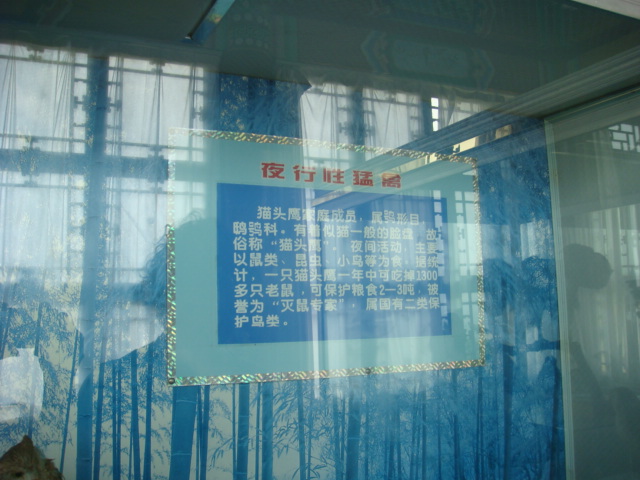 DSC04730.JPG