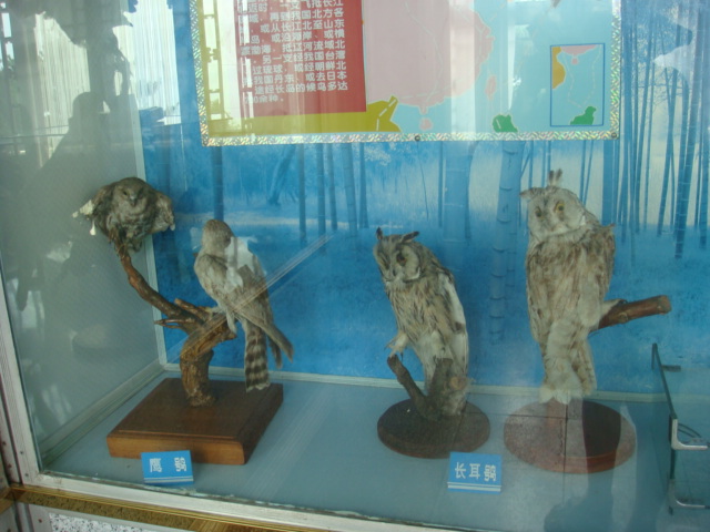 DSC04720.JPG