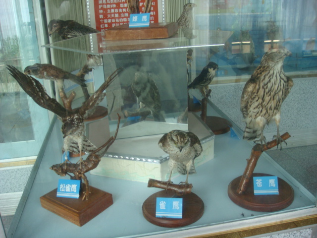 DSC04722.JPG