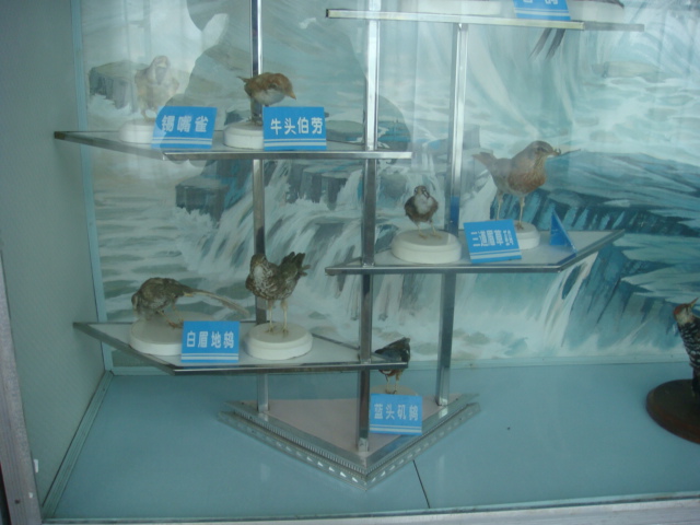 DSC04712.JPG