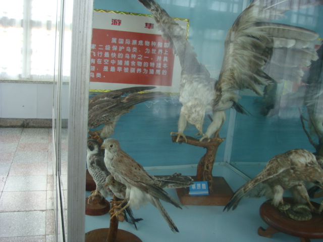 DSC04714.JPG