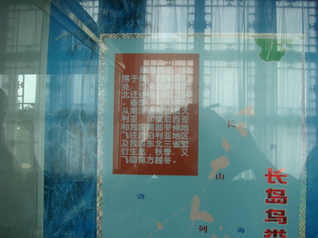 DSC04724.JPG
