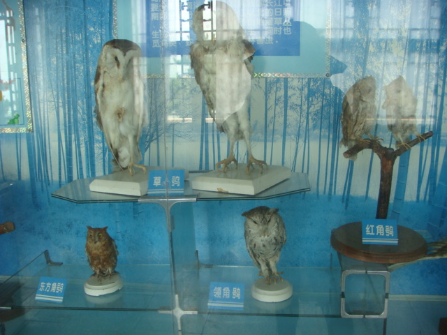 DSC04719.JPG