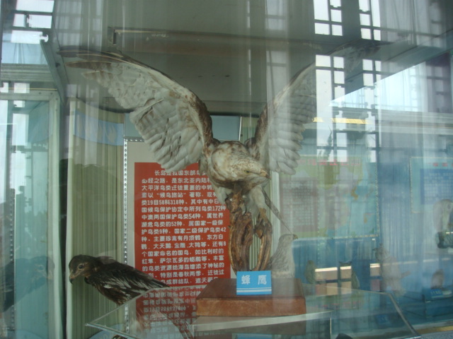 DSC04723.JPG