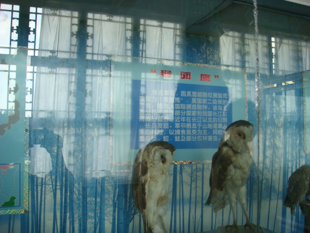 DSC04729.JPG