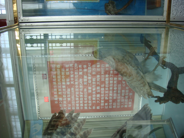 DSC04727.JPG