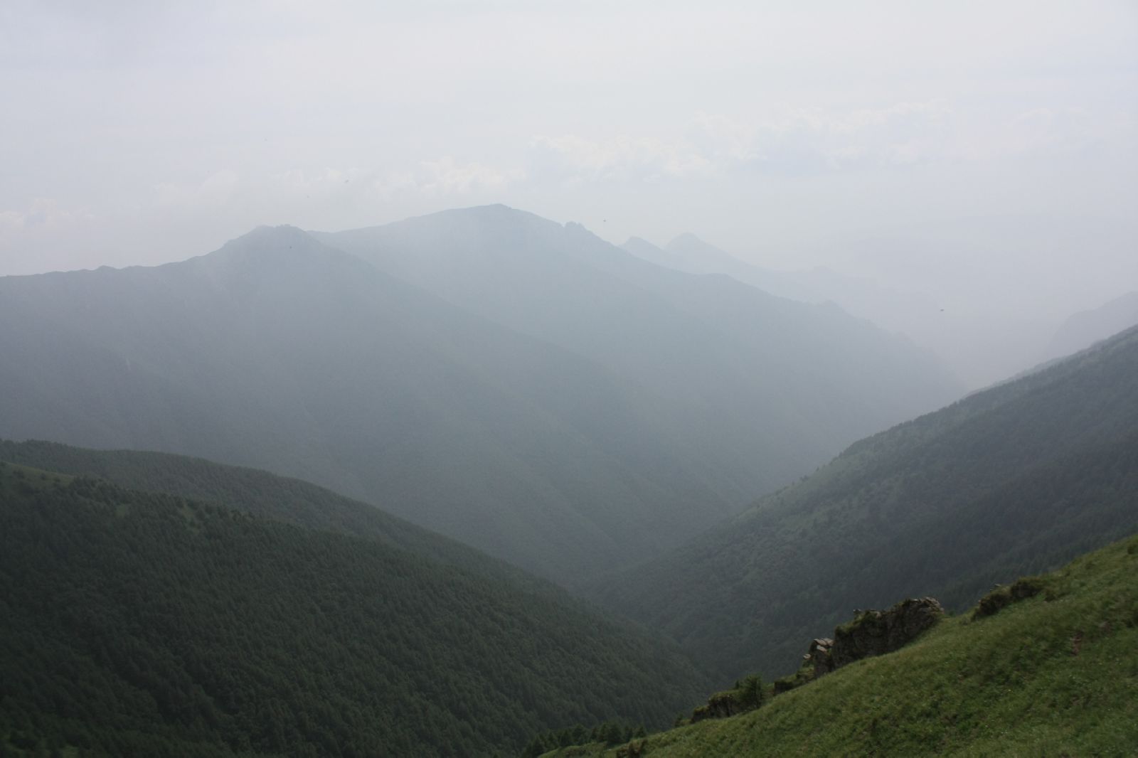 IMG_1075.JPG