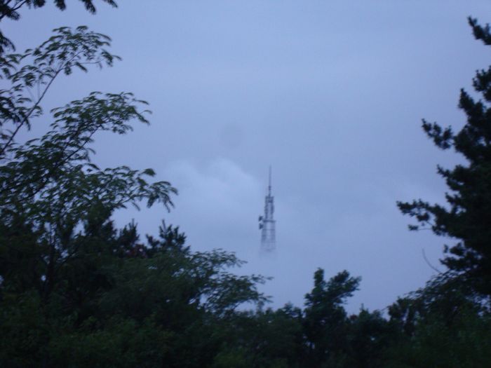 nEO_IMG_DSC09813.jpg