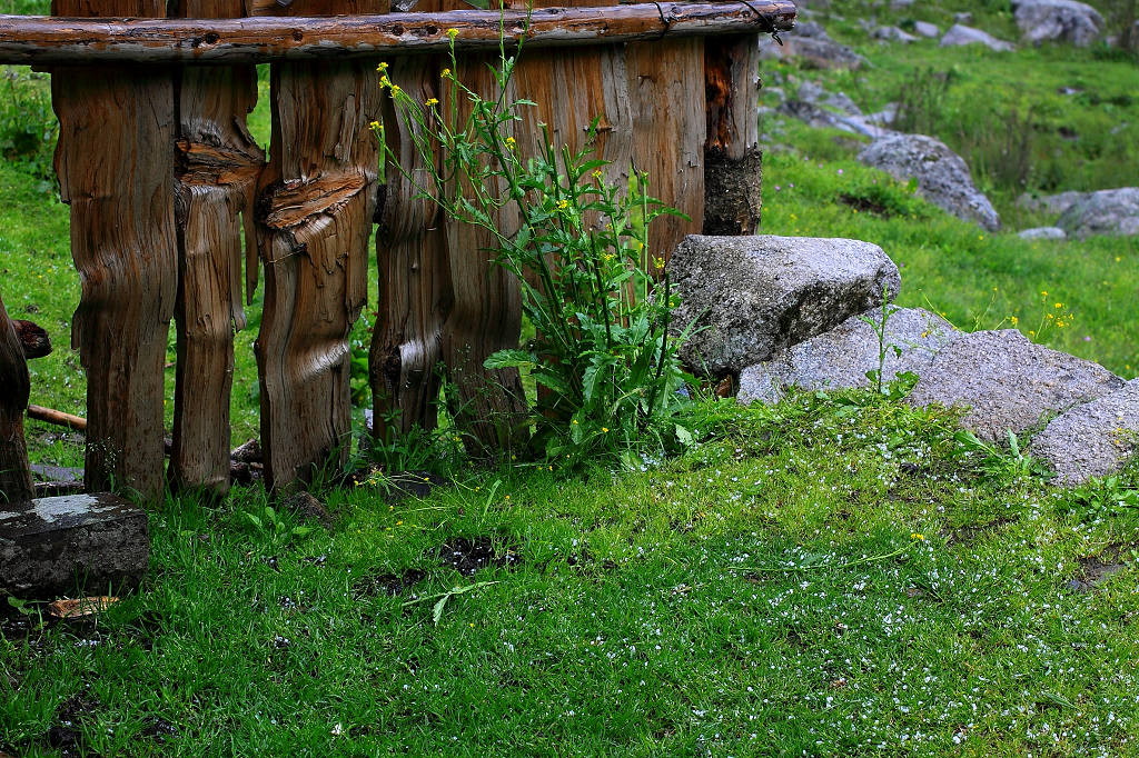 197.jpg