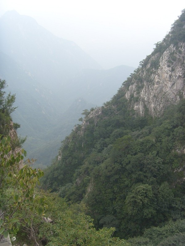 PhotoCap_075.jpg