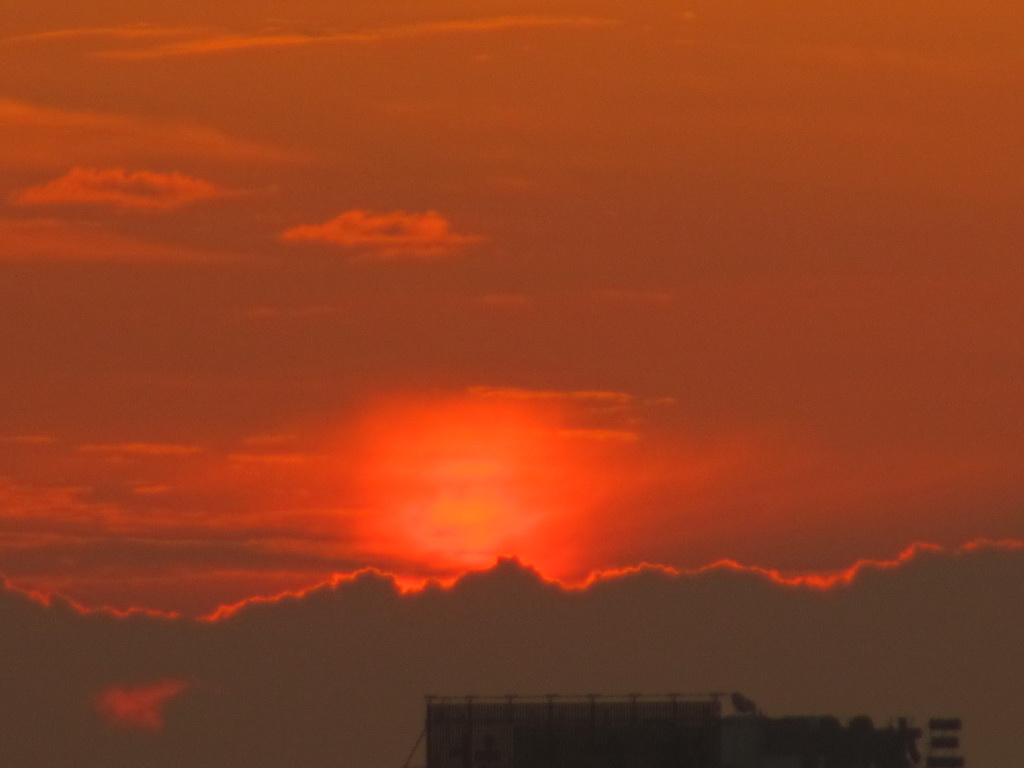 太阳 015.jpg