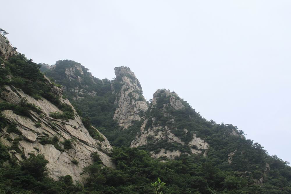 调整大小 IMG_1858.JPG
