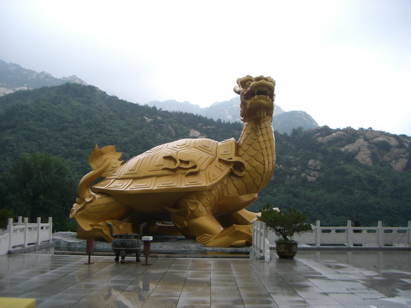 CIMG8263_调整大小.JPG