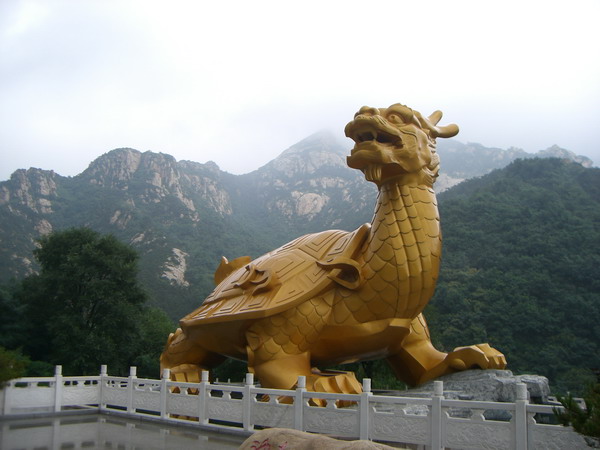 CIMG8264_调整大小.JPG