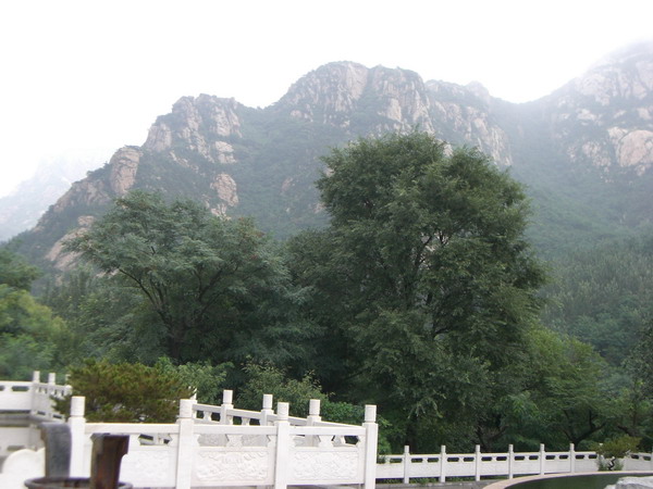 CIMG8269_调整大小.JPG