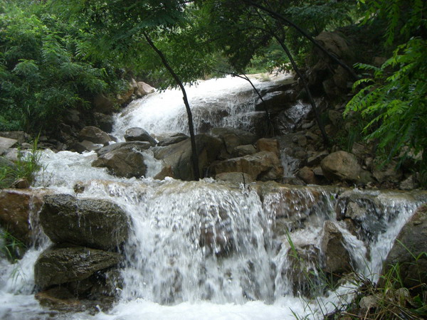 CIMG8276_调整大小.JPG