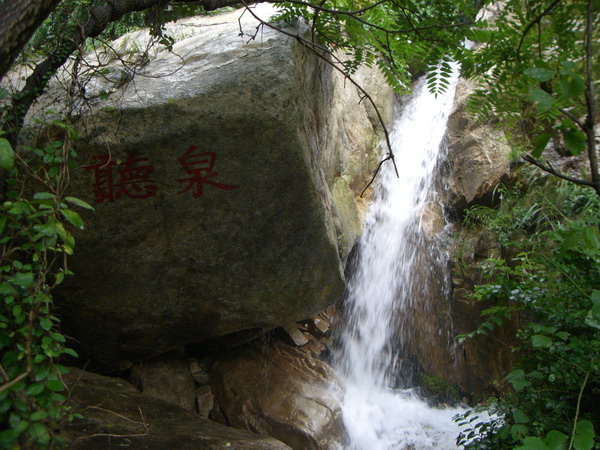CIMG8348_调整大小.JPG