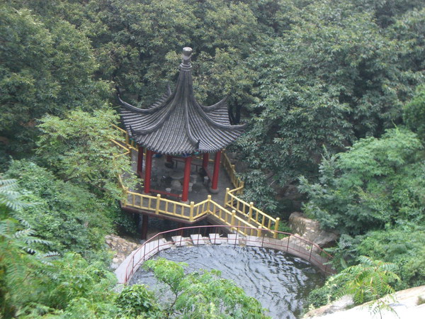 CIMG8342_调整大小.JPG