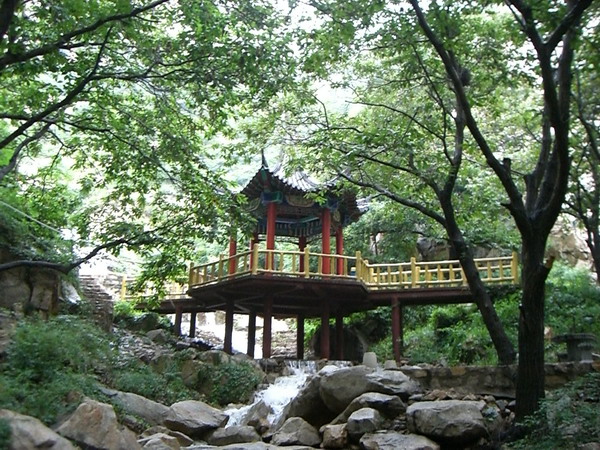 CIMG8315_调整大小.JPG