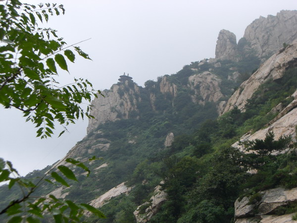 CIMG8338_调整大小.JPG