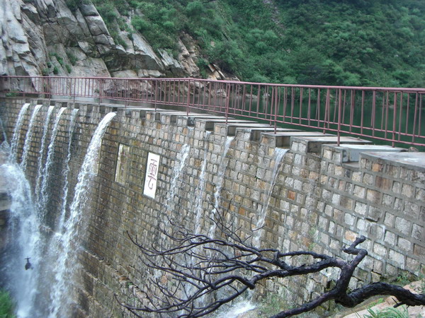 CIMG8466_调整大小.JPG