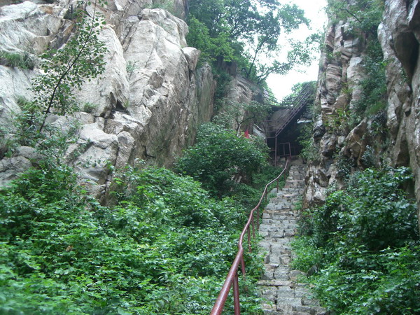 CIMG8425_调整大小.JPG