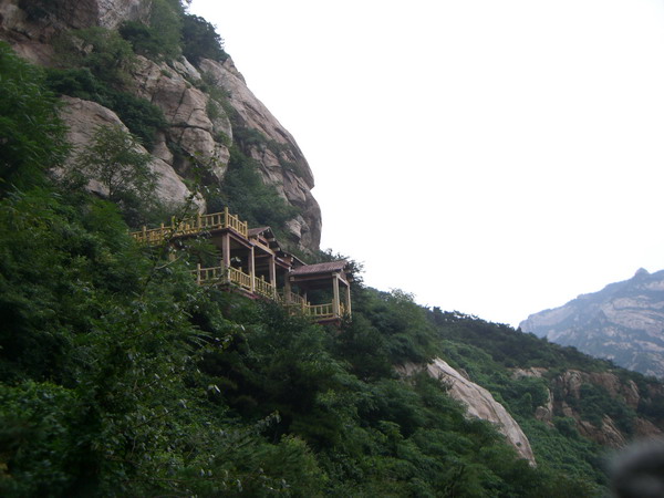 CIMG8521_调整大小.JPG
