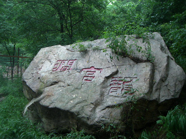 CIMG8527_调整大小.JPG