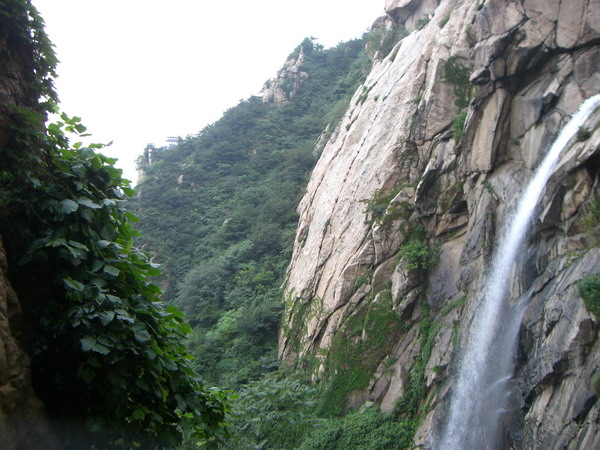 CIMG8508_调整大小.JPG