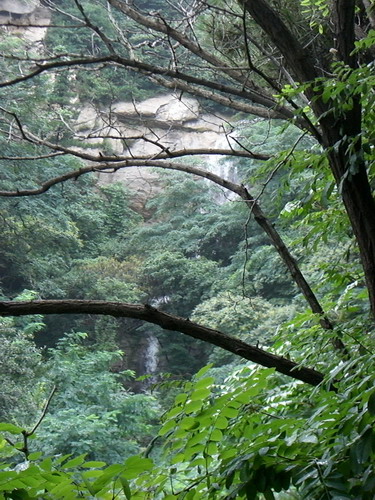 CIMG8594_调整大小.jpg