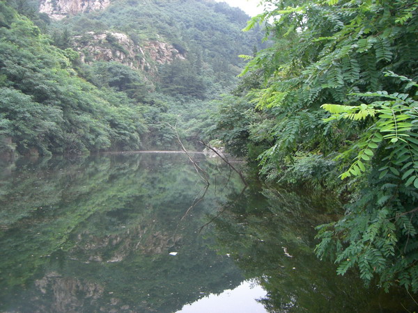 CIMG8577_调整大小.JPG