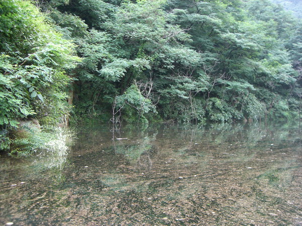CIMG8569_调整大小.JPG