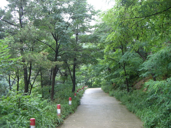 CIMG8598_调整大小.JPG