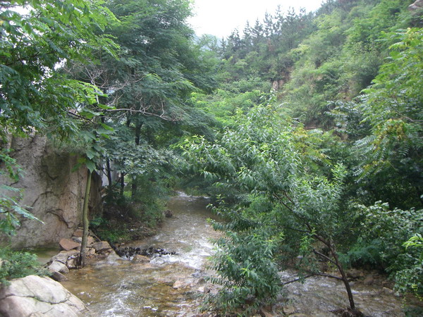 CIMG8532_调整大小.JPG