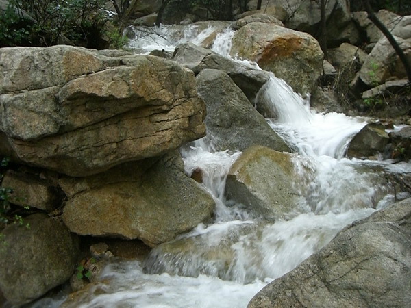 CIMG8612_调整大小.JPG
